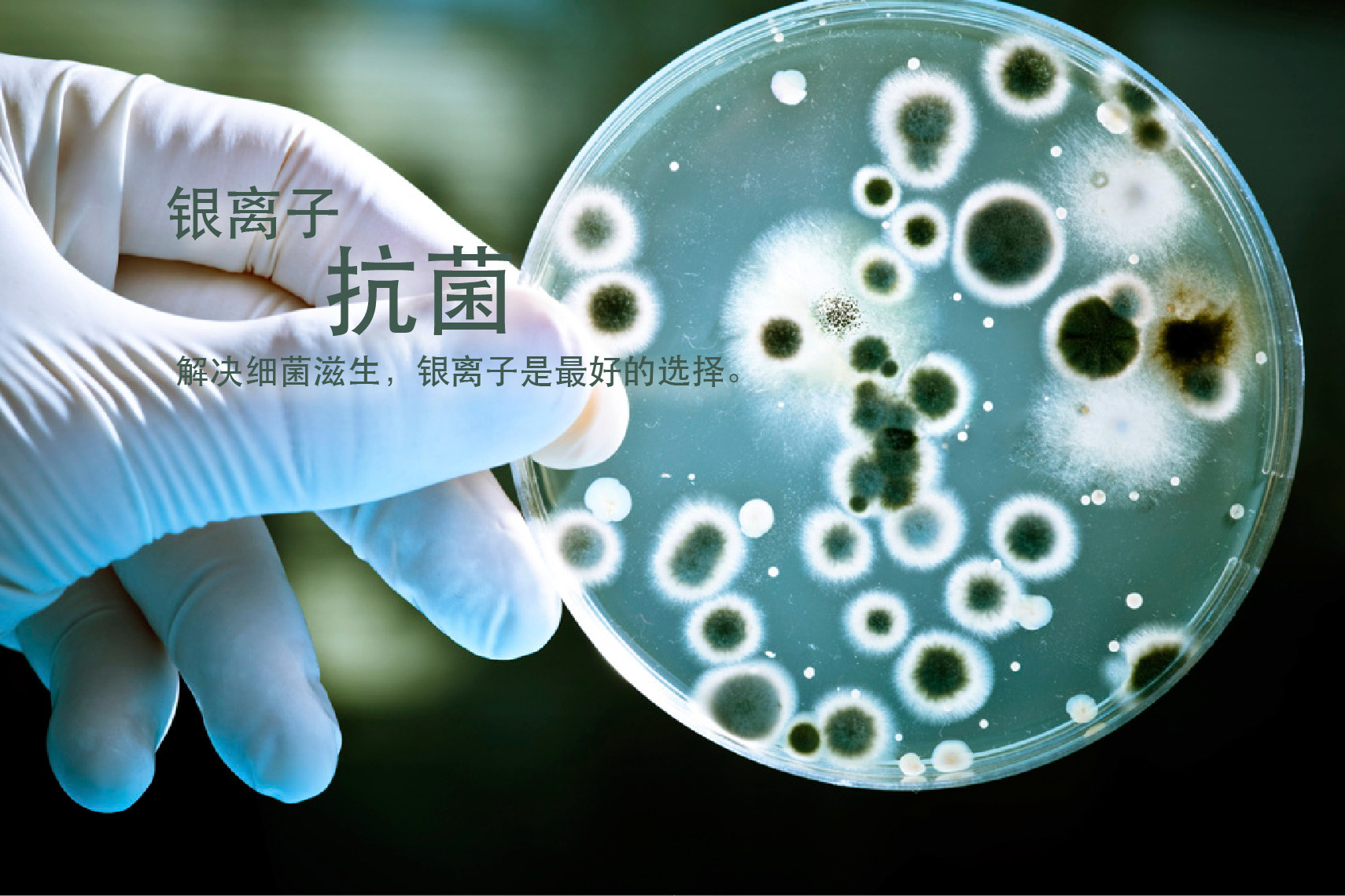 抗菌防霉,生物降解