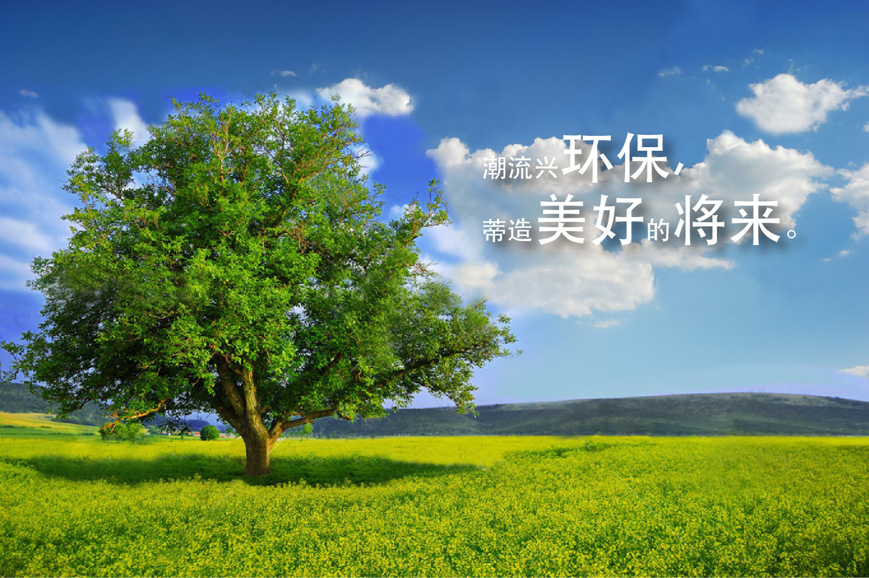 抗菌防霉,生物降解